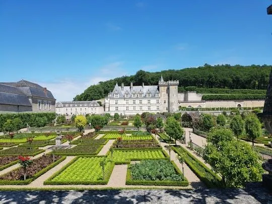 Image qui illustre: Visite guidée des châteaux de Villandry et d'Azay-le-Rideau au départ de Tours