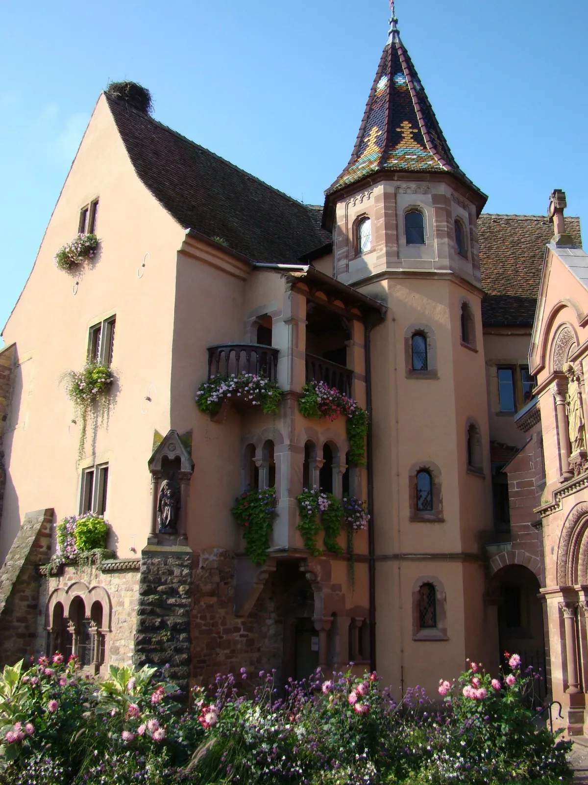 Image qui illustre: Château des comtes d'Eguisheim  à Eguisheim - 1