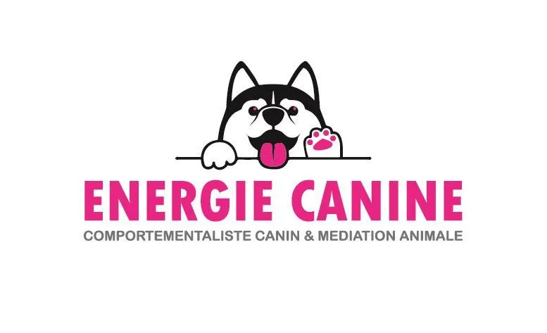 Image qui illustre: Cani-rando - Energie Canine