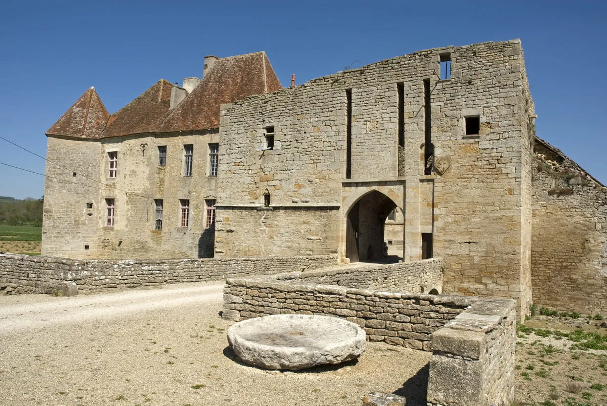 Image qui illustre: Château d'Eguilly