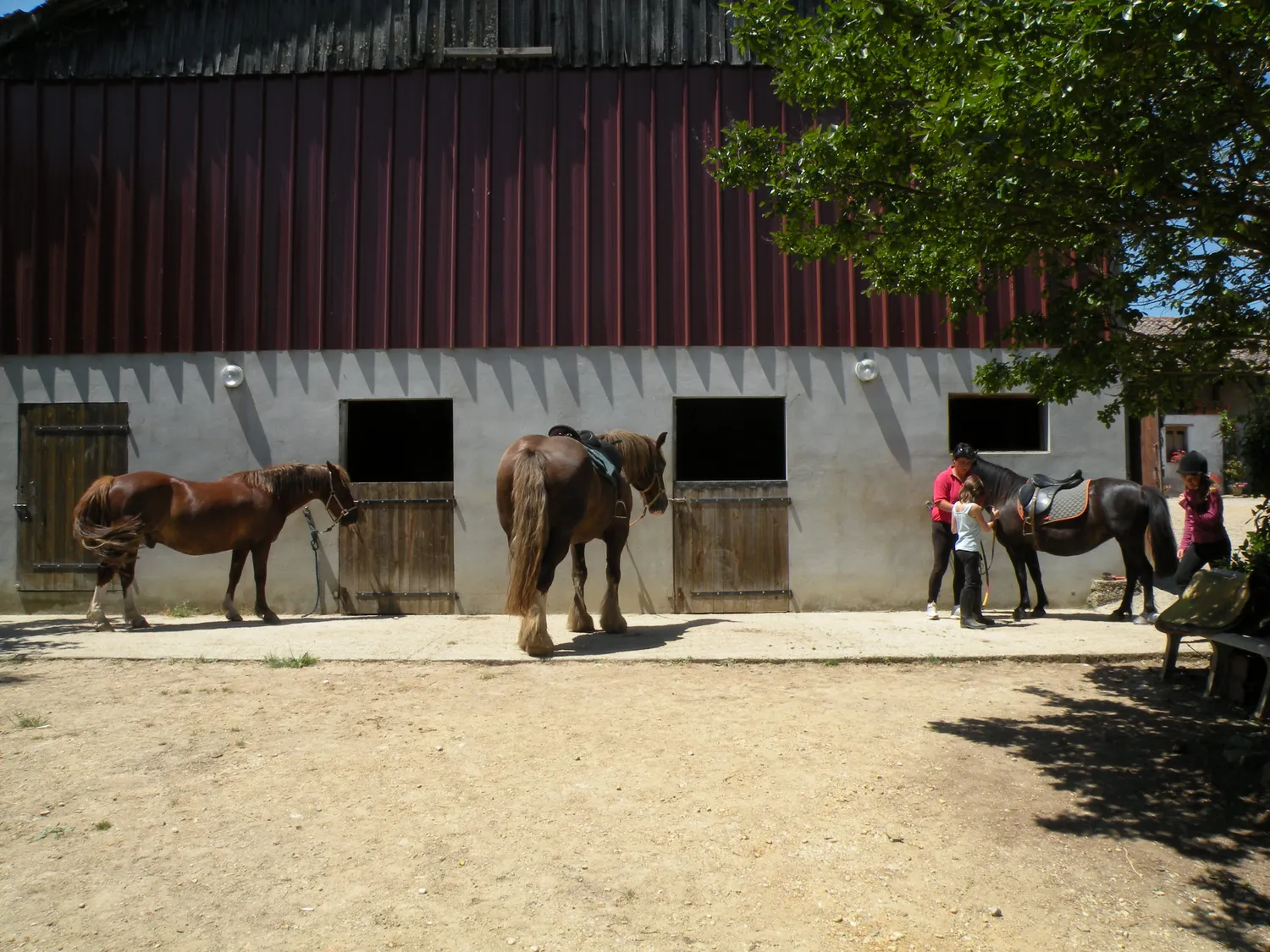 Image qui illustre: Randonnées Equestres De Claverie à Saint-Sauveur-de-Meilhan - 0