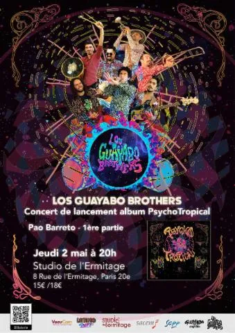 Image qui illustre: Los Guayabo Brothers présentent PsychoTropical