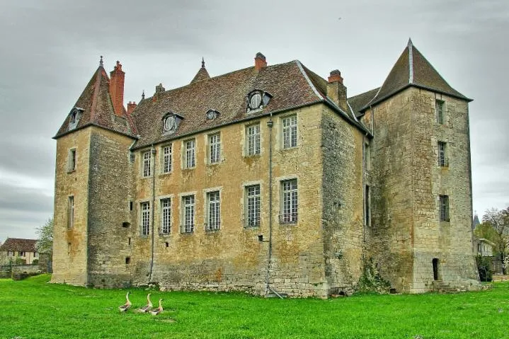 Image qui illustre: Château De Gy