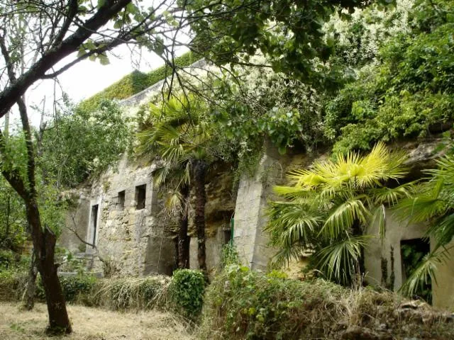 Image qui illustre: Visite découverte des jardins des coteaux Saint-Martin et Sainte-Radegonde