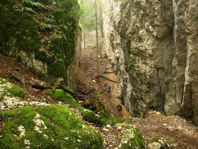 Image qui illustre: Site naturel d'escalade "Grotte des Nains"