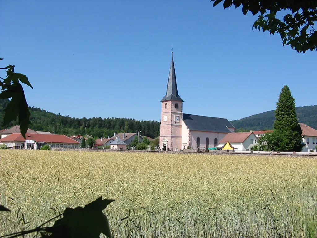 Image qui illustre: Commune De Saint-amé à Saint-Amé - 0