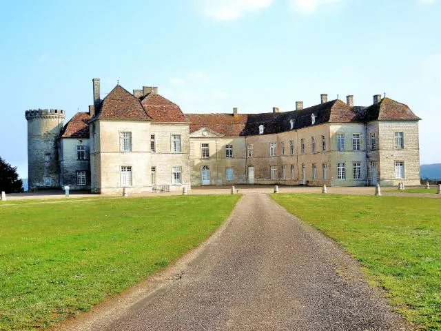 Image qui illustre: Chateau De Ray-sur-saône