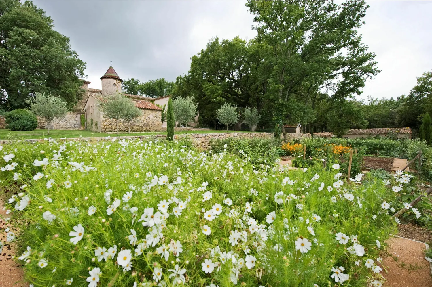 Image qui illustre: Visite guidée des Jardins avec notre architecte paysagiste à Flassans-sur-Issole - 0
