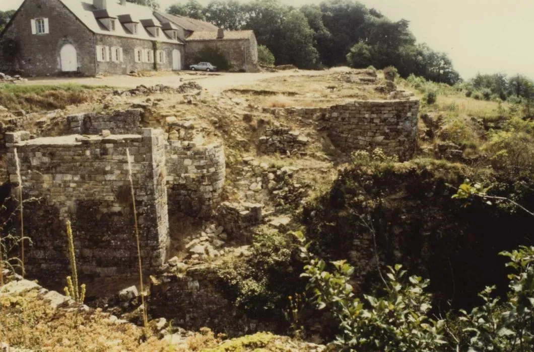 Image qui illustre: Vestiges du château à Beaufremont - 1