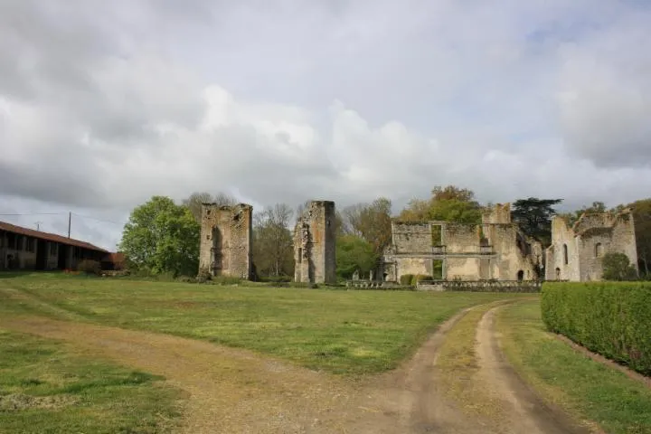 Image qui illustre: Château De La Durbelière