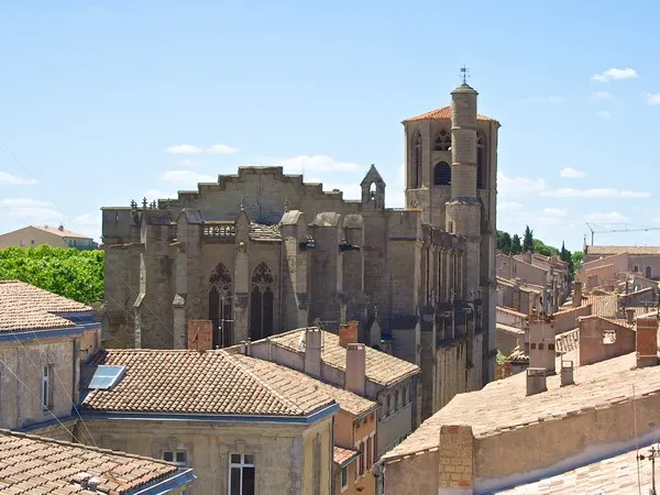 Image qui illustre: Cathédrale Saint-michel à Carcassonne - 0