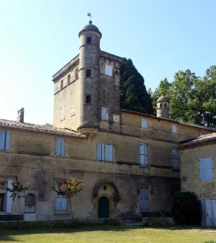 Image qui illustre: Château De Teillan