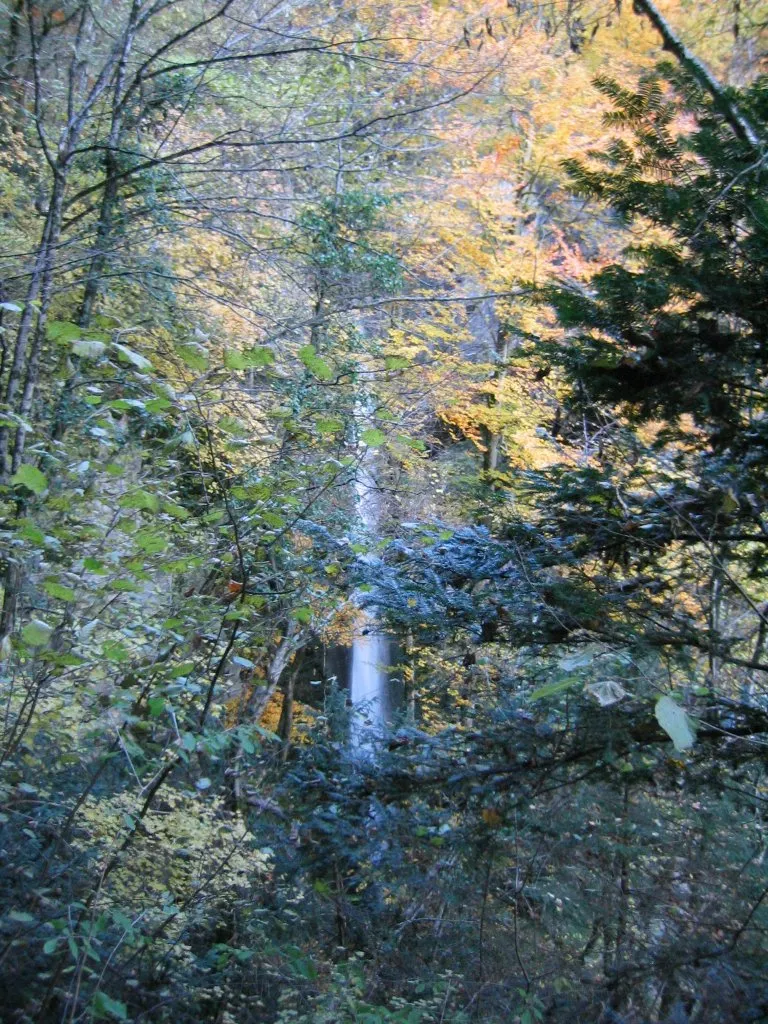 Image qui illustre: Cascade d'Angon à Talloires-Montmin - 0