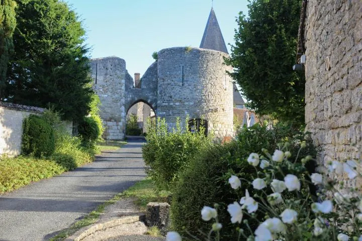 Image qui illustre: Forteresse Médiévale Et Village De Yèvre-le-châtel