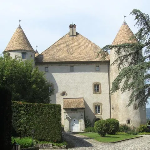 Image qui illustre: Château de Buffavent