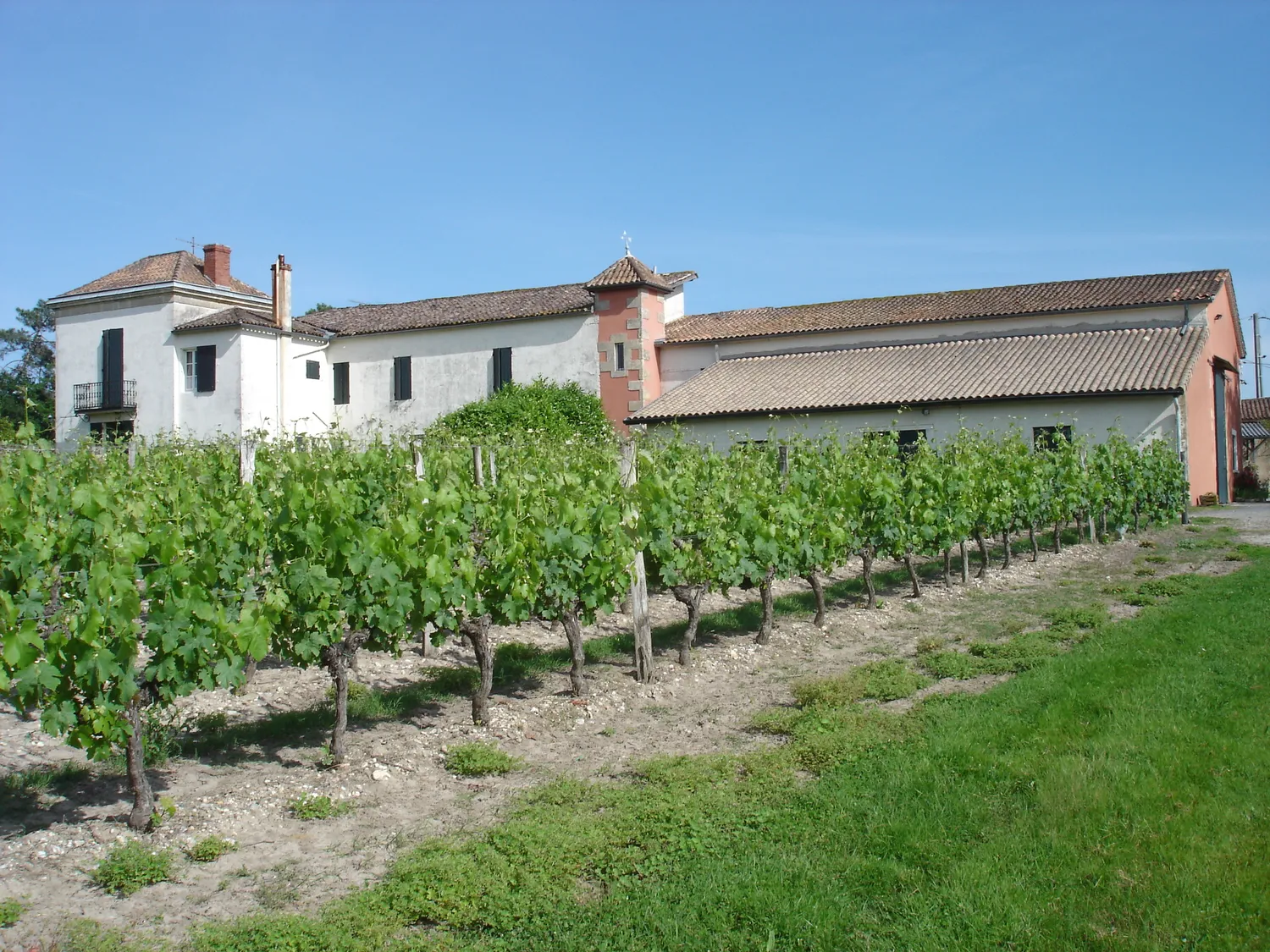 Image qui illustre: Vignobles Latrille Bonnin à Mazères - 0