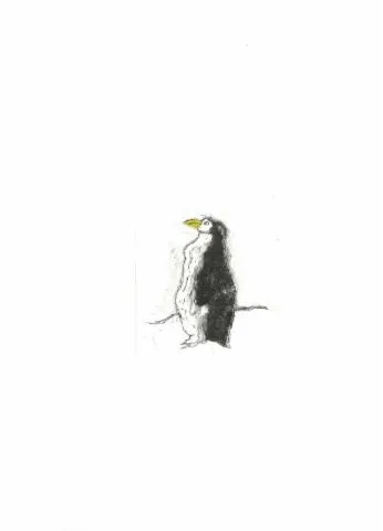 Image qui illustre: Un drôle de pingouin