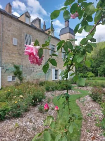 Image qui illustre: Visite Mille et une roses par Richard, jardinier d'art de l'abbaye de Beaulieu