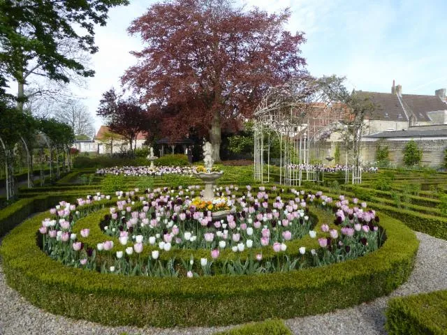Image qui illustre: Jardins De La Liberté