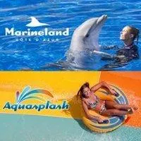 Image qui illustre: Marineland + Aquasplash