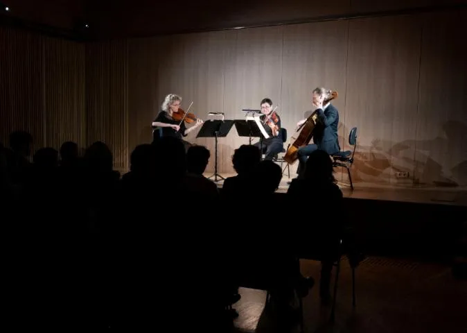 Image qui illustre: Le quatuor avec flûte de l'ONPL