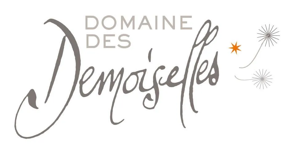 Image qui illustre: Domaine Des Demoiselles