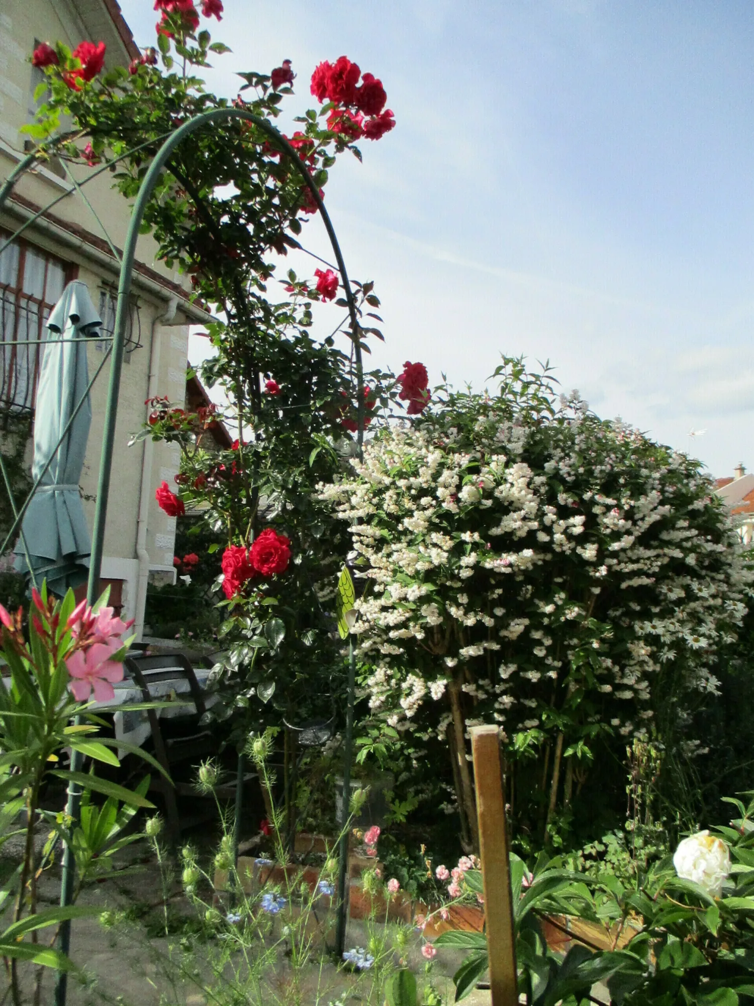 Image qui illustre: Visite libre du jardin d'Armelle à Pontoise - 0