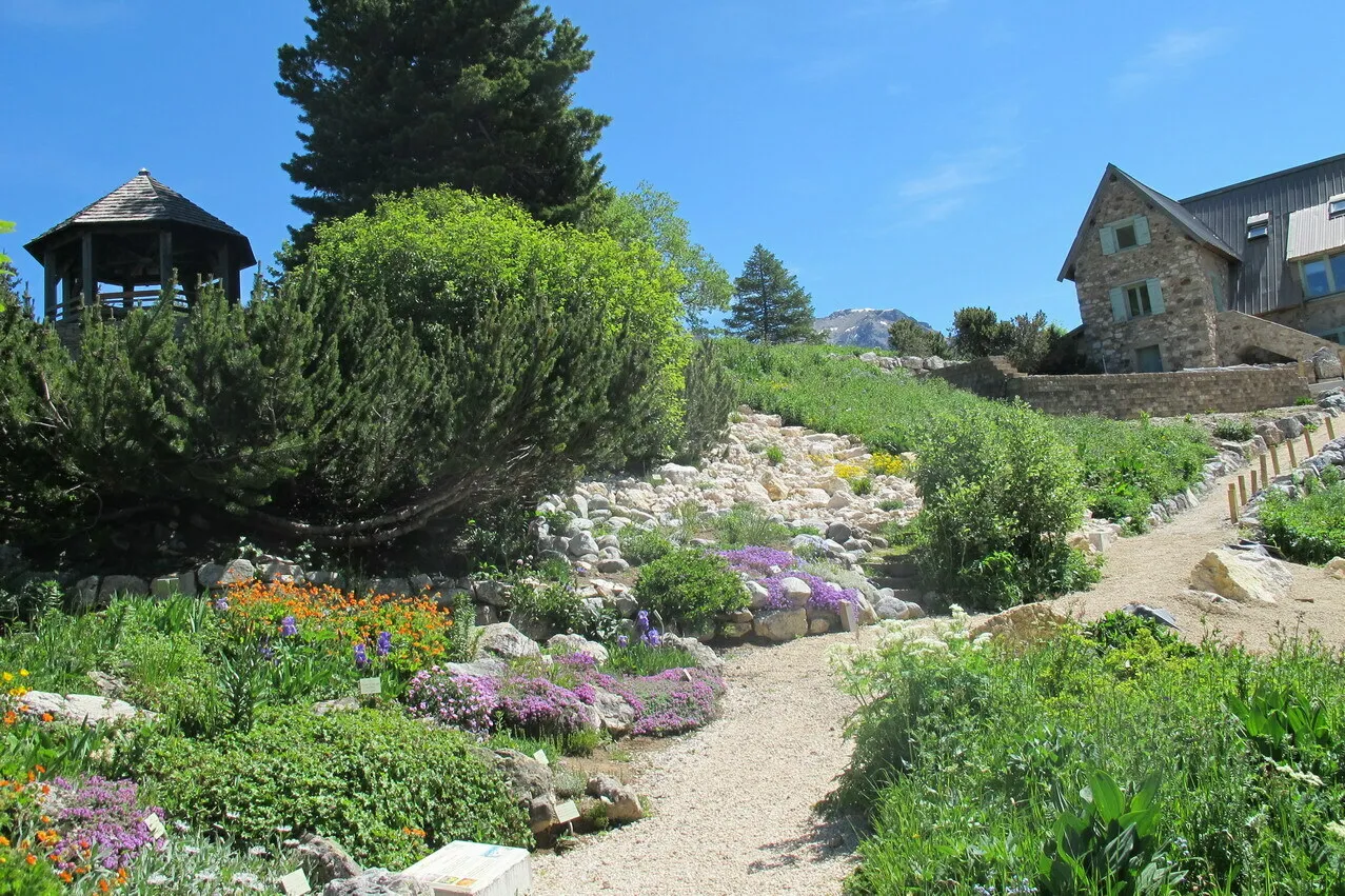 Image qui illustre: Visite du jardin du Lautaret à Le Monêtier-les-Bains - 0