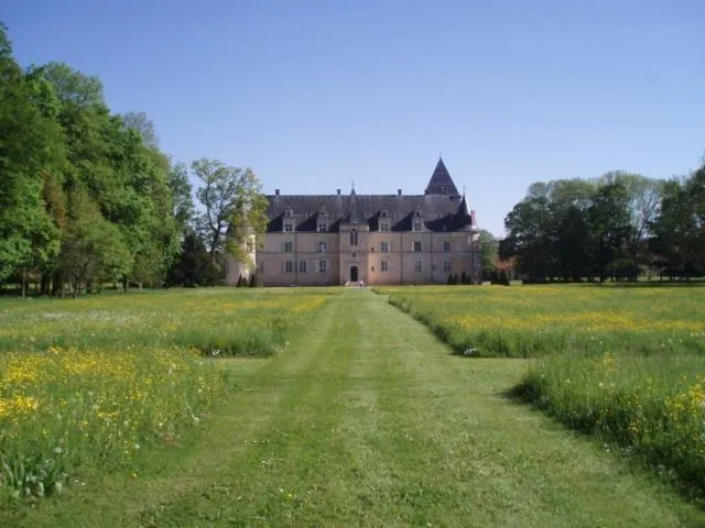 Image qui illustre: Parc Du Chateau De Fleville