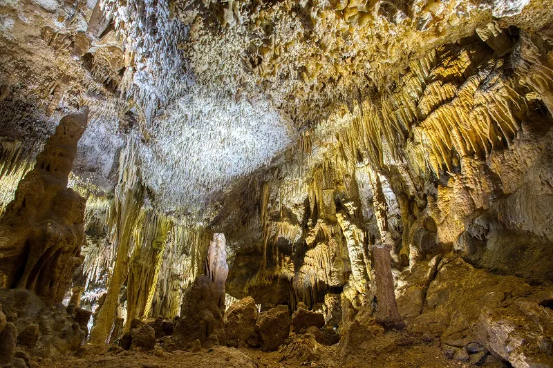 Image qui illustre: Grotte De Domme à Domme - 1