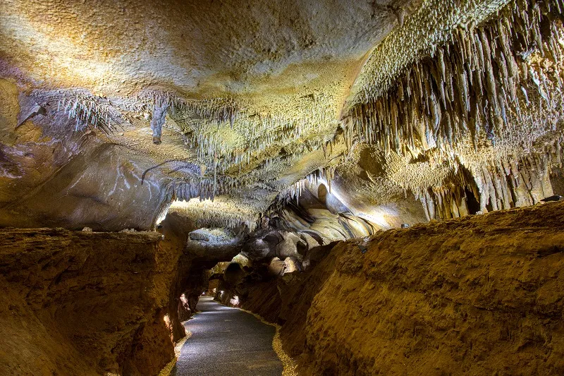 Image qui illustre: Grotte De Domme à Domme - 2