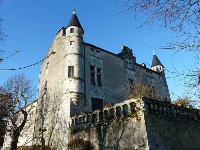 Image qui illustre: Château de Puymarteau