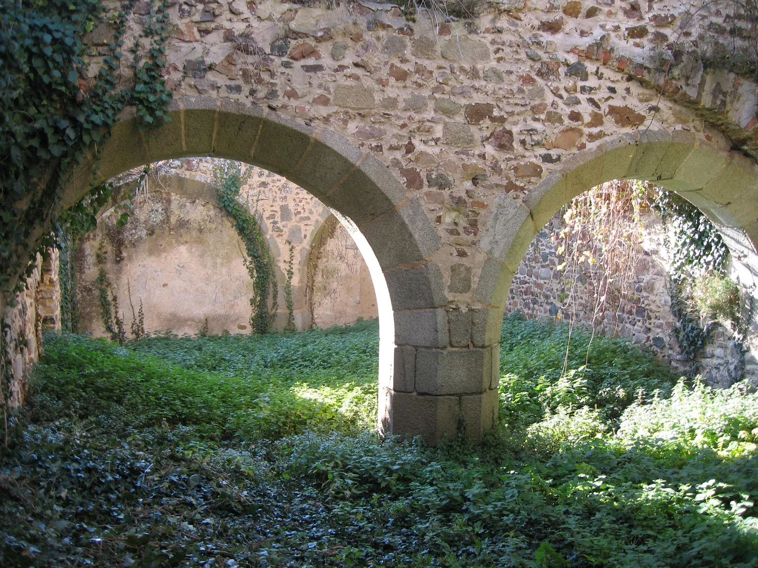 Image qui illustre: Château D'argenton Les Vallées à Argentonnay - 2