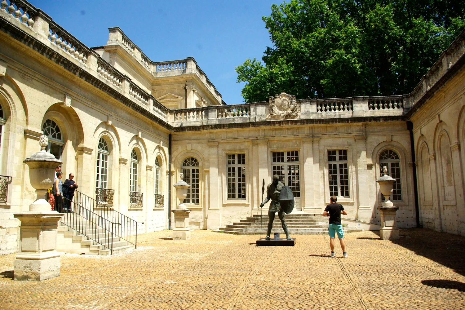 Image qui illustre: Musée Calvet Avignon à Avignon - 0