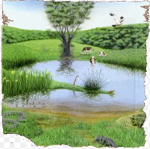 Image qui illustre: Lacs De Millas à Millas - 2