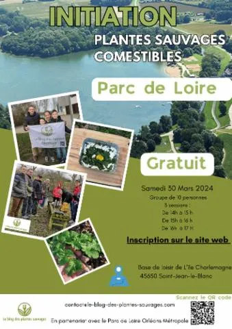 Image qui illustre: Initiation Plantes sauvages comestibles Parc de Loire
