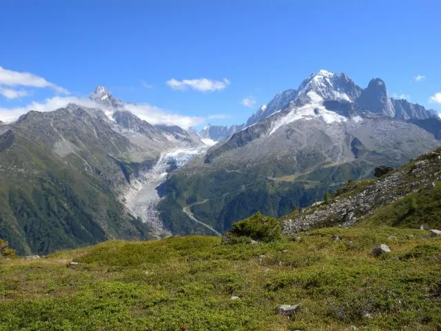 Image qui illustre: Glacier d'Argentière