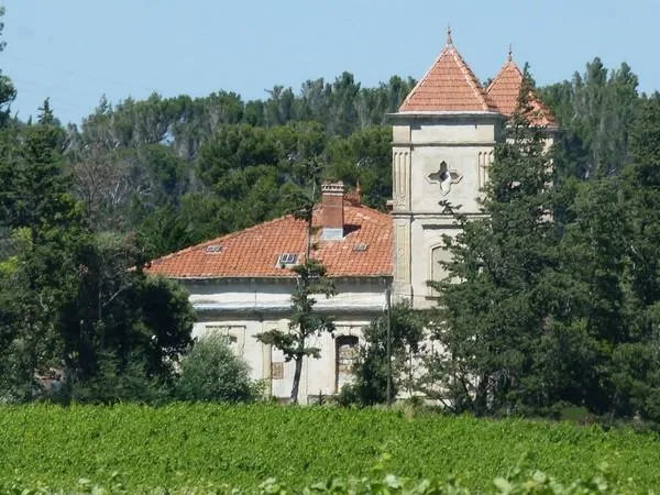 Image qui illustre: Château Ardolou