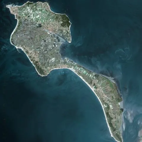Image qui illustre: Île de Noirmoutier