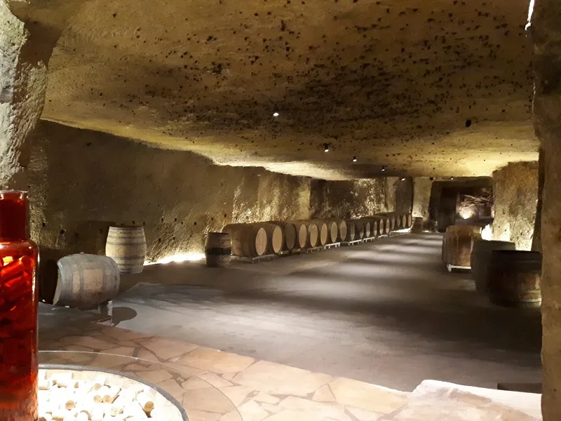 Image qui illustre: Caves M Plouzeau à Chinon - 2