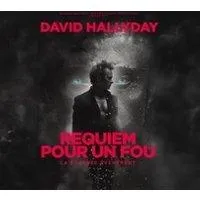Image qui illustre: David Hallyday - Requiem pour un Fou - Tournée