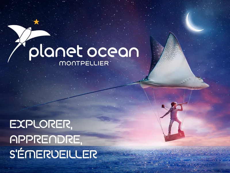 Image qui illustre: Planet Ocean Montpellier à Montpellier - 1