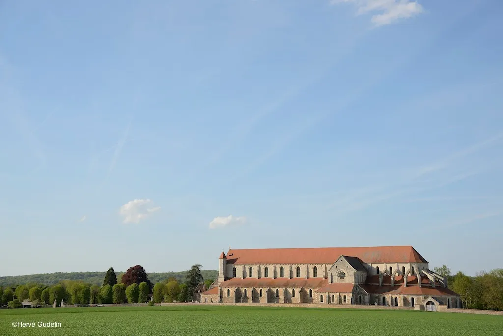 Image qui illustre: L'Abbaye de Pontigny, aux origines du Chablis à Pontigny - 2