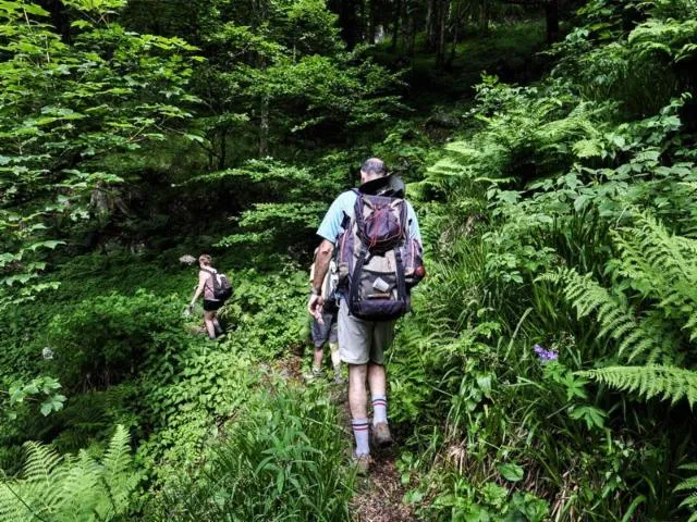 Image qui illustre: Randonnees En Montagne - Gregory Bonne