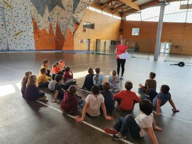 Image qui illustre: Accueil De Loisirs