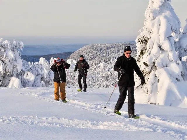 Image qui illustre: Gregory Bonne - Randonnees Raquettes