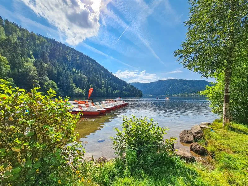 Image qui illustre: Le Lac De Longemer à Xonrupt-Longemer - 1