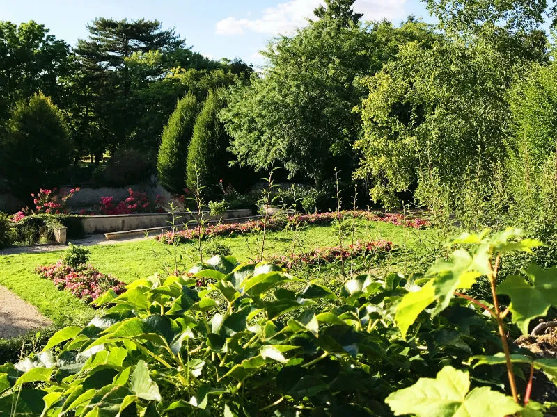 Image qui illustre: Jardin Des Cordeliers à Châteauroux - 1