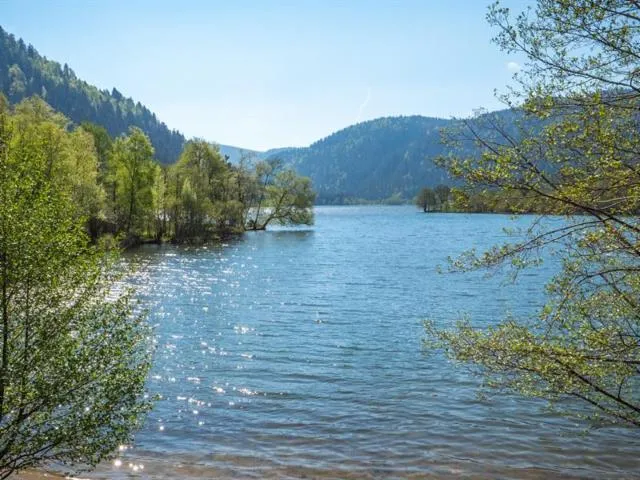 Image qui illustre: Le Delta Du Ruisseau Saint-jacques