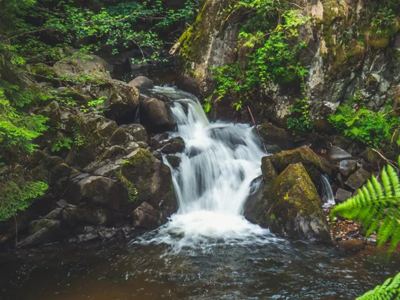 Image qui illustre: Le Saut Des Cuves à Gérardmer - 0